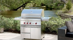 CW Services Inc: wolfgrill-300x164.